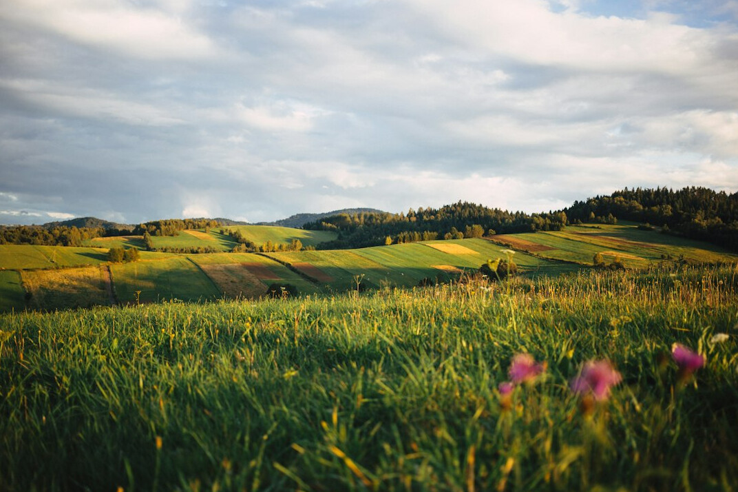 german landscape nature