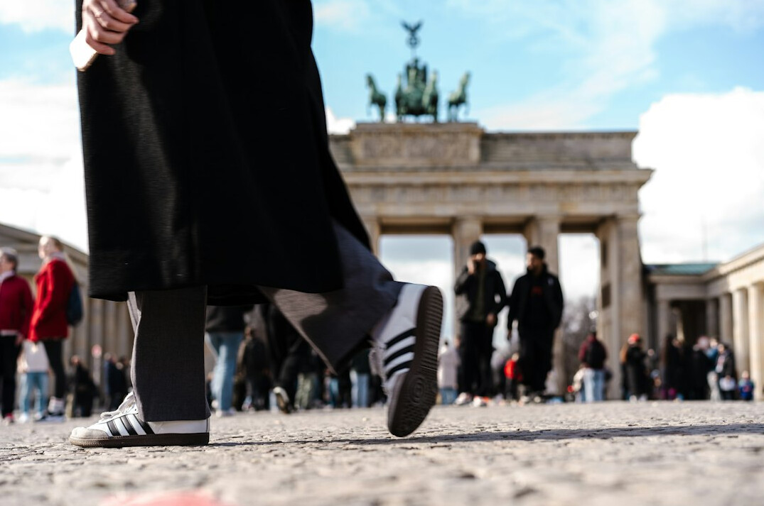 german population survey