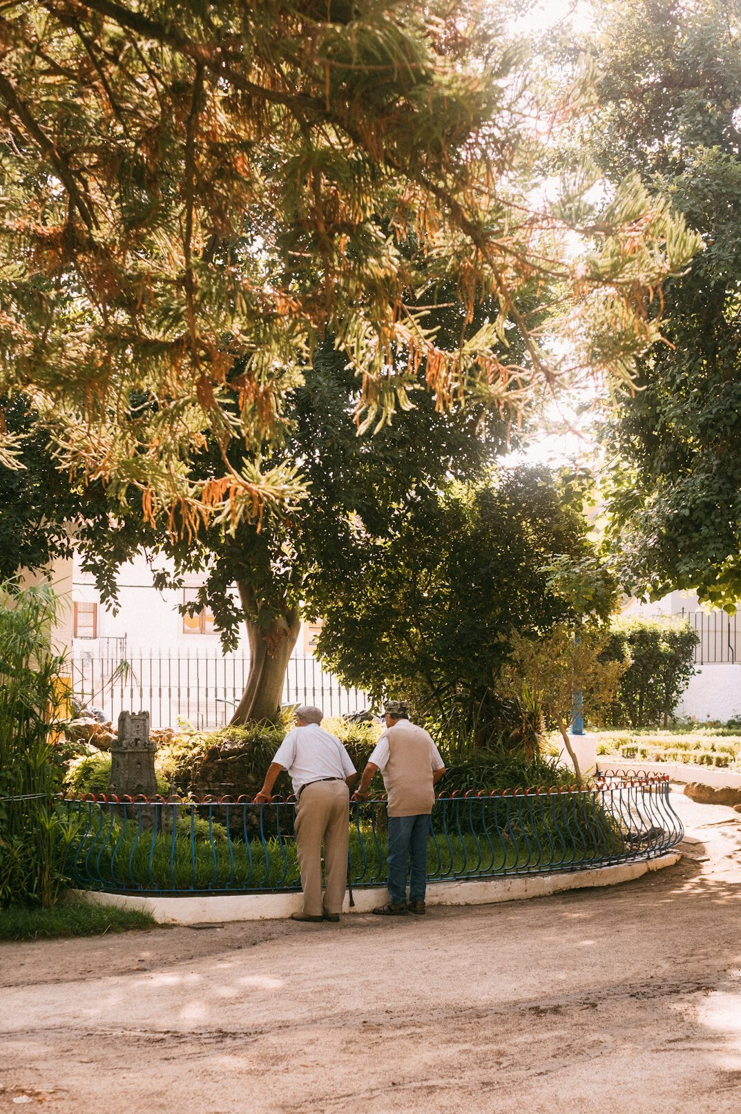 elderly people walking in park
